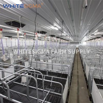 Ċestuni tal-Farrowing